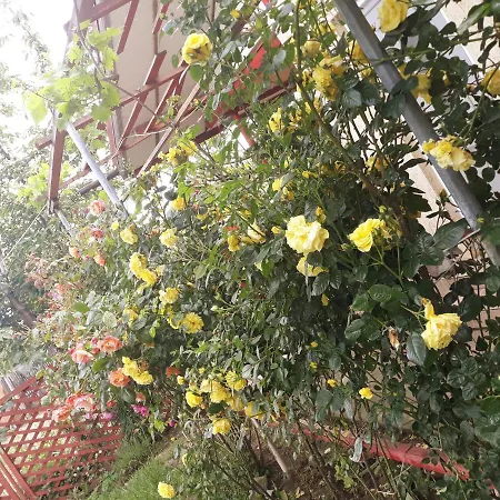 Penzion Casa De Vacanta Alexoiu