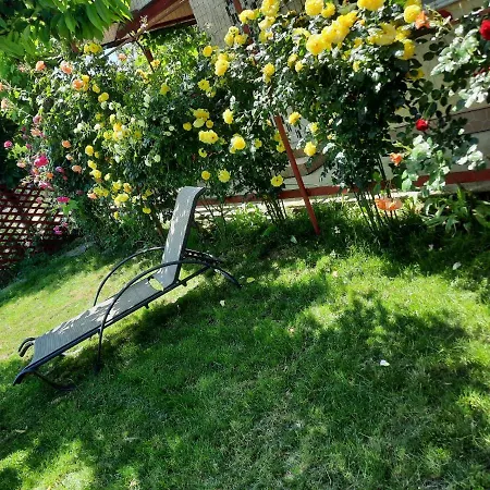 Affittacamere Casa De Vacanta Alexoiu