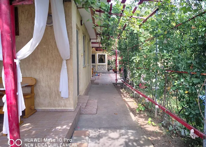 Casa De Vacanta Alexoiu